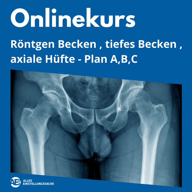 Onlinekurs:  Becken, Hüftübersicht, axiale Hüfte live am 12.05.2025 - Alles Einstellungssache 