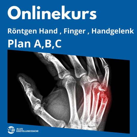 Onlinekurs: Hand, Finger, Handgelenk live am 17.02.2025 - Alles Einstellungssache 