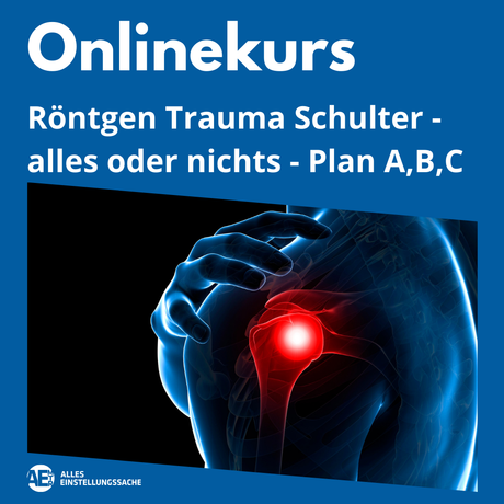 Onlinekurs: Trauma Schulter – „Alles oder Nichts“ live am 17.03.2025 - Alles Einstellungssache 
