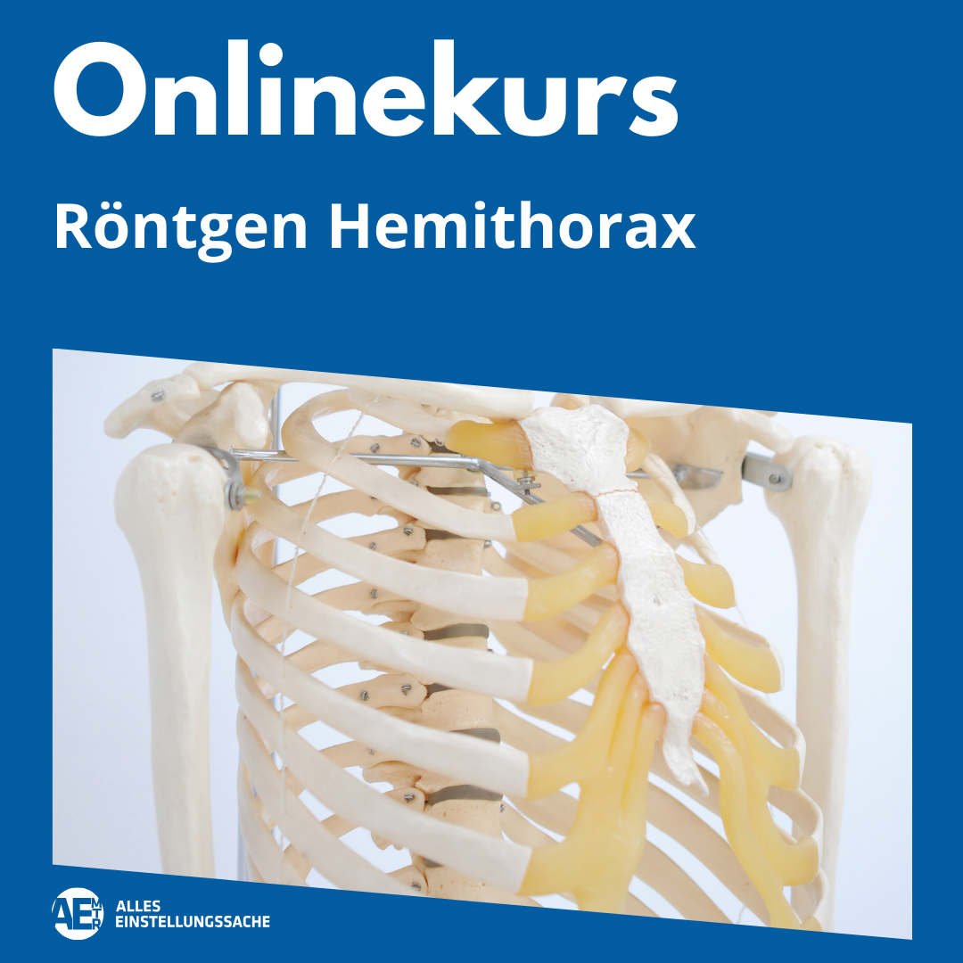 Onlinekurs: Hemithorax - Alles Einstellungssache 