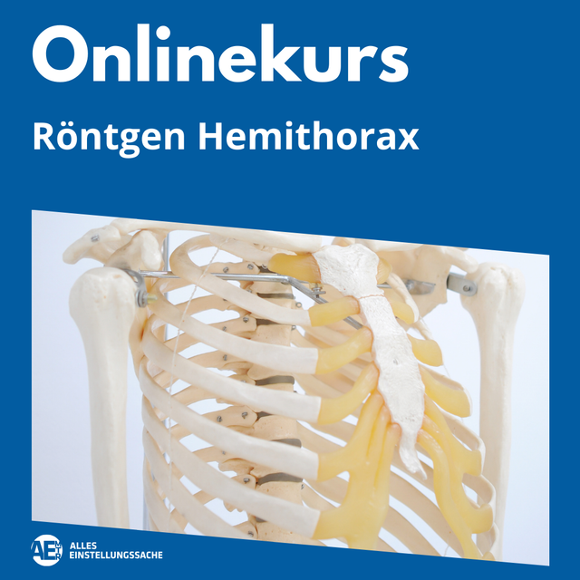 Onlinekurs: Hemithorax - Alles Einstellungssache 