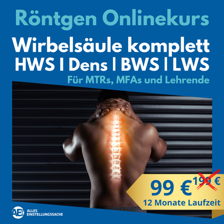 Onlinekurs: Wirbelsäule komplett – HWS, BWS & LWS - Alles Einstellungssache 